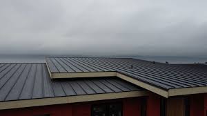 Best Metal Roofing Installation  in USA